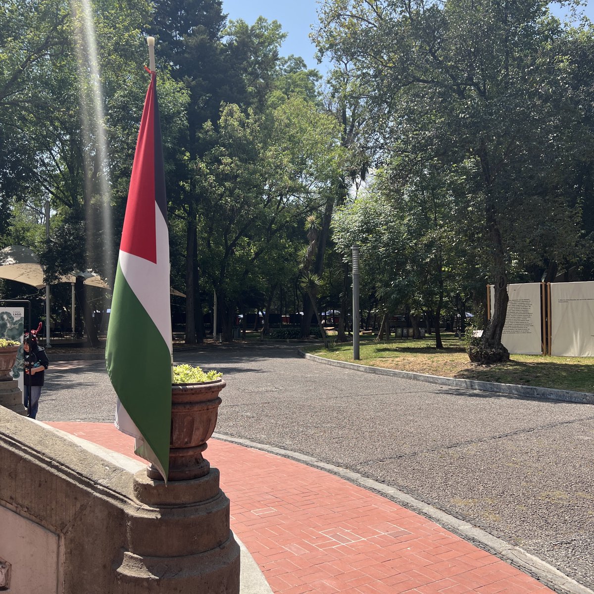 კაია 🦕 tweet media