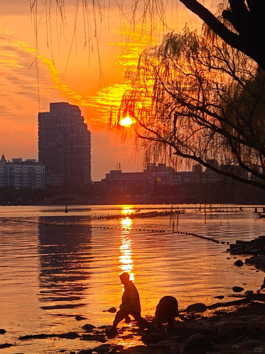 Carol Araujo tweet media