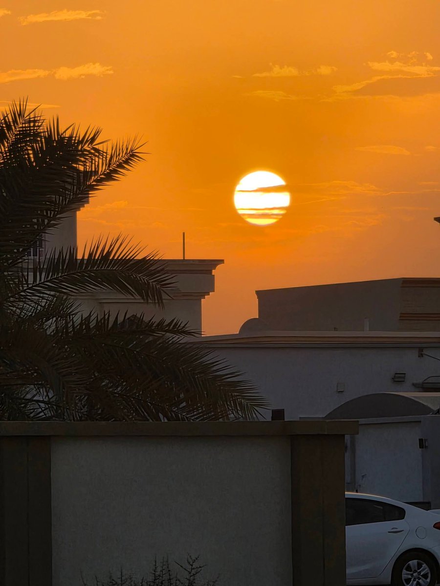 ᴀʙᴜ sɪᴀғ tweet media