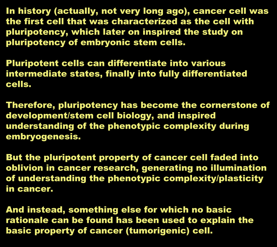 Ying Cao tweet media