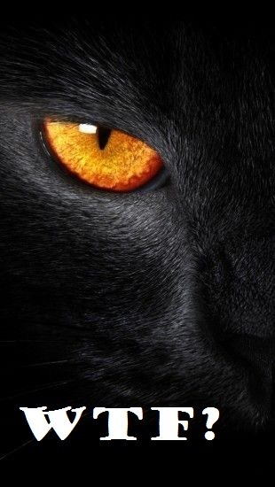 Sylvia de Lesbos, primera con el nombre .. tweet media