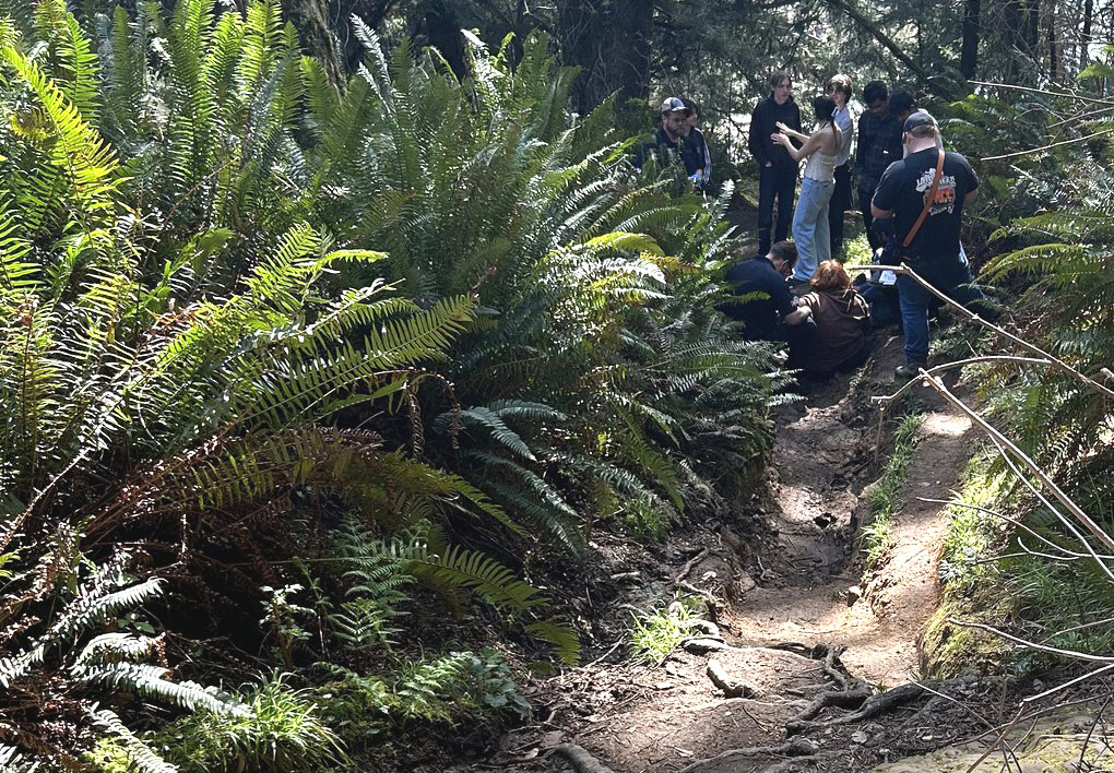 Oregon Coast tweet media