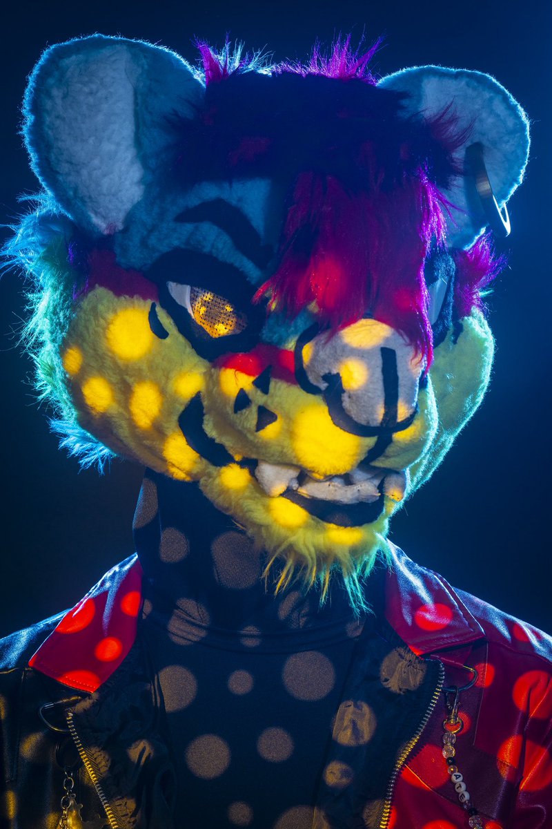 dire_walf's tweet photo. $200 MFF 20 photo sessions open if you book by Friday :3

#mff #mff2026 #furfest #furfest2026 https://t.co/YPAE0oIjKO