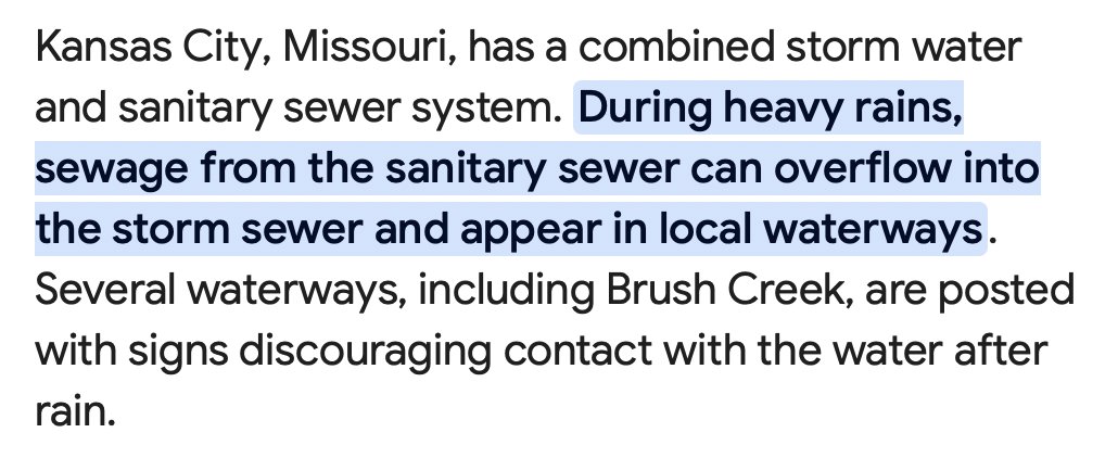 Olivia, Gracie Purrl, Salvy, and Luna tweet media