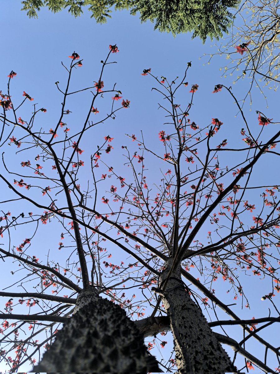 देवानंप्रिय tweet media