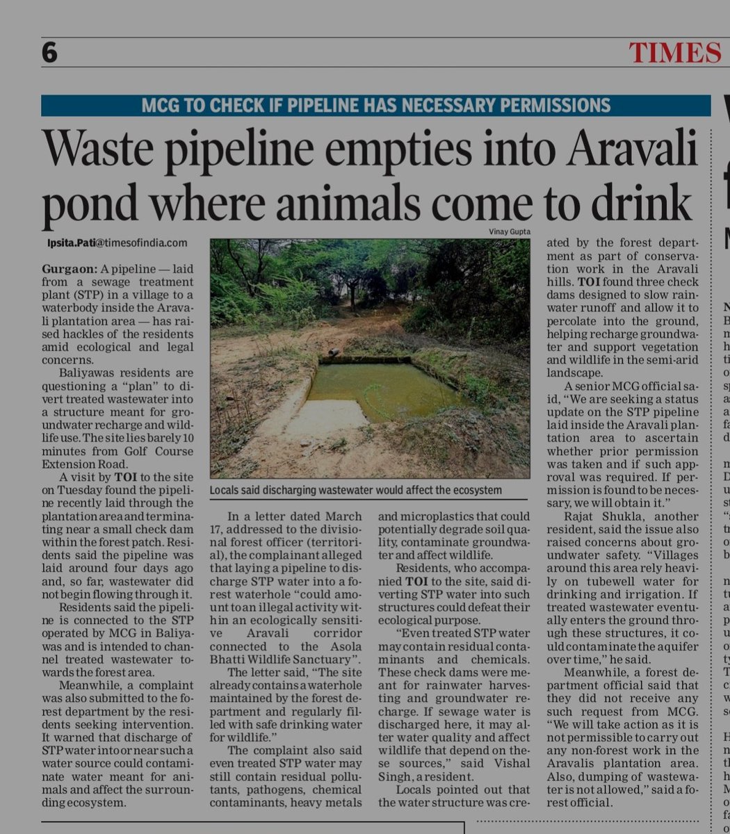 Ipsita pati🌳 tweet media