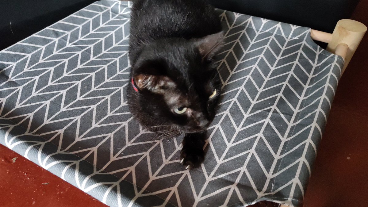 Lomi Ch. 🍜【&Cider】- 4/1 Stream Anniversary! tweet media