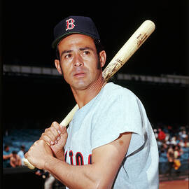 Jake T. O'Donnell tweet media