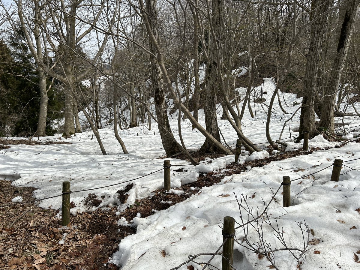 国営越後丘陵公園(公式) tweet media