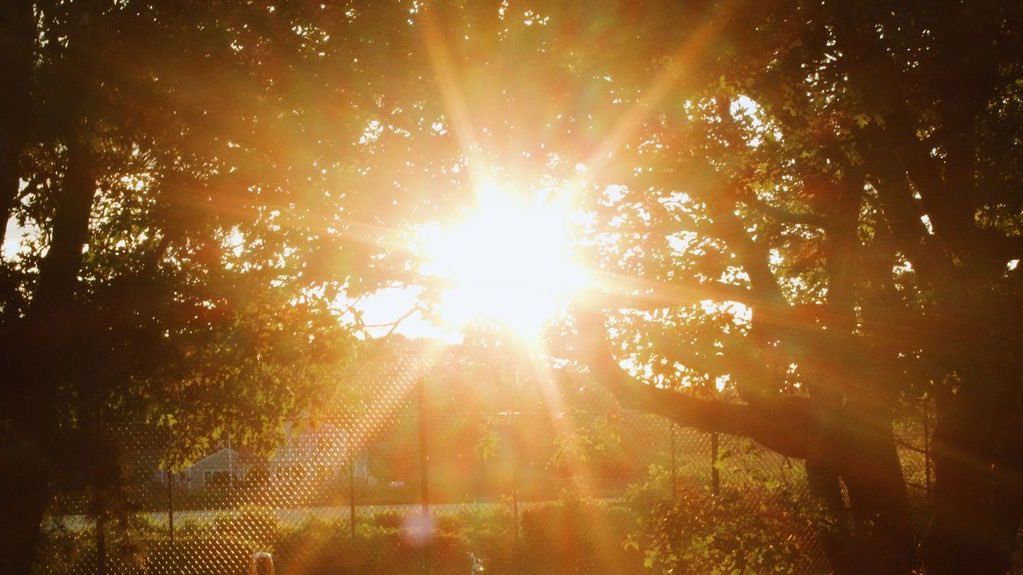 Midoriya Izuku! tweet media