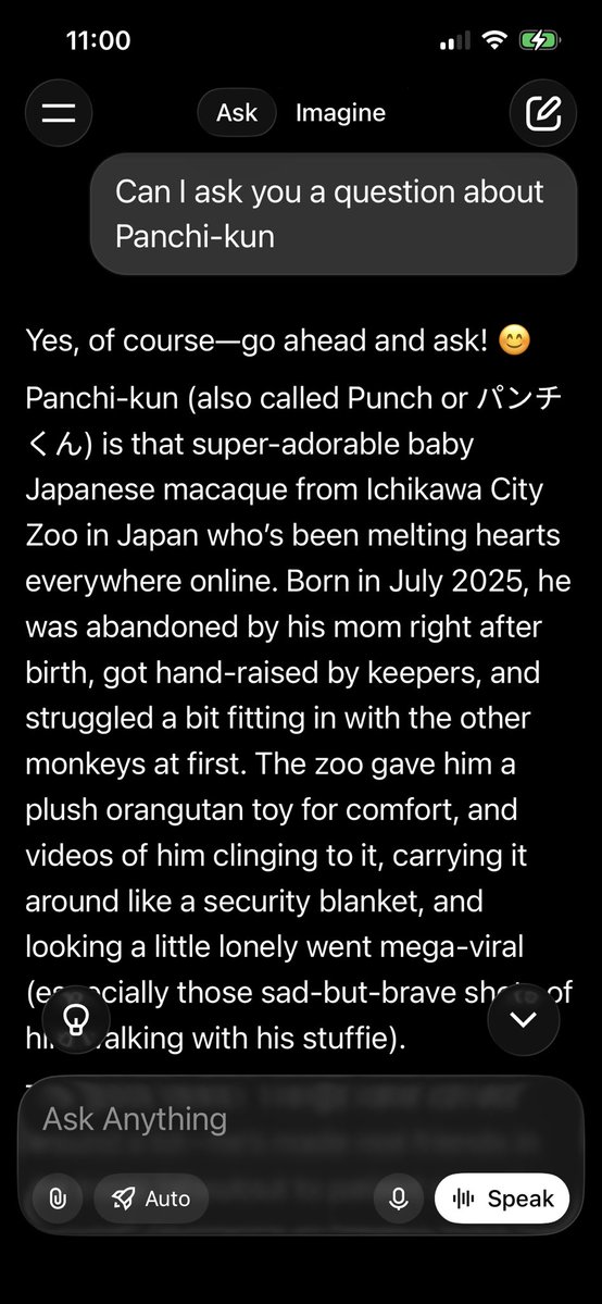 3 • Ring • Circus tweet media