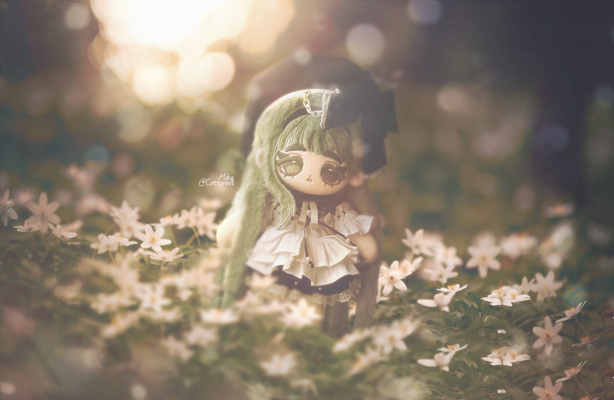 Slow 모코🧸🌿 tweet media