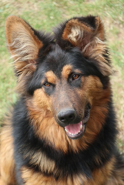 Matthew Mack tweet media