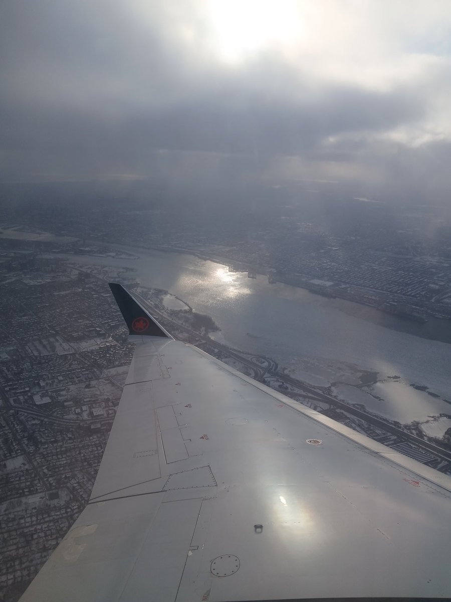 Irizaurus tweet media