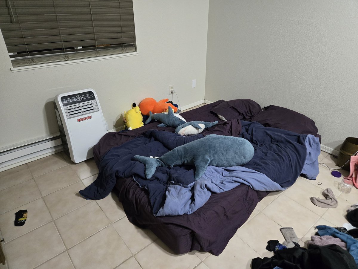 Ms. Chaos tweet media