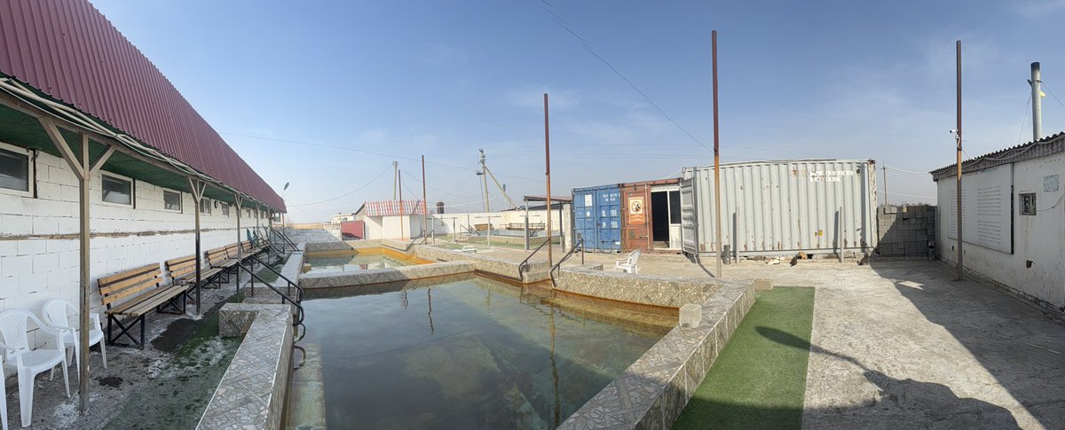 𝗂𝗍𝗈𝗁 tweet media