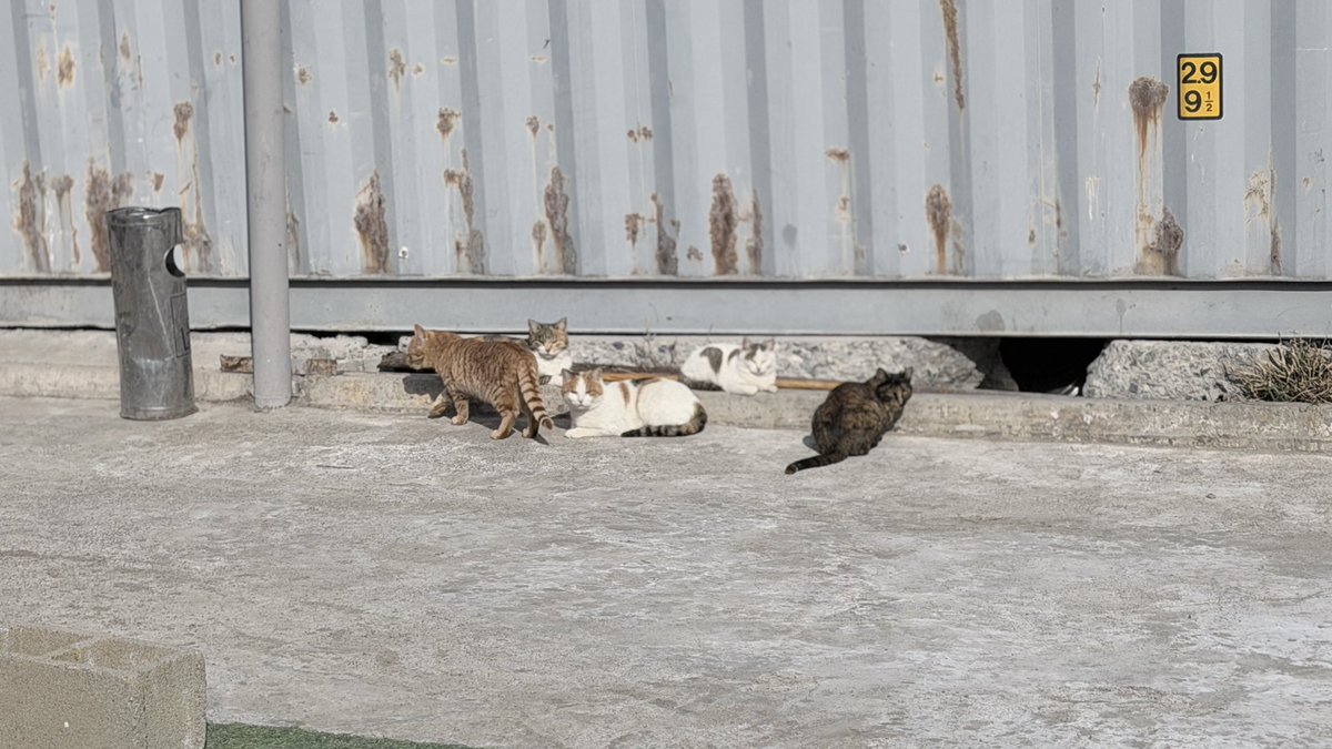 𝗂𝗍𝗈𝗁 tweet media