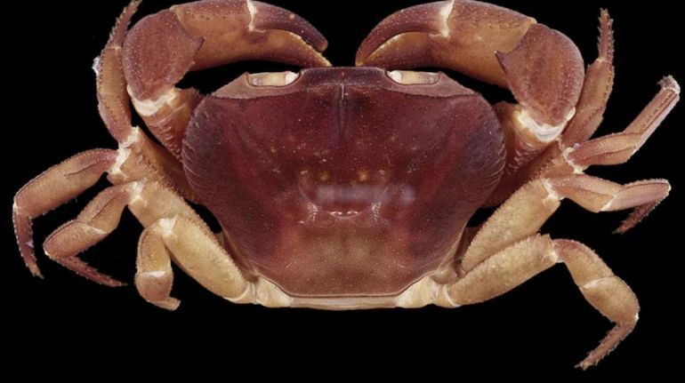 Indian Tech & Infra tweet media