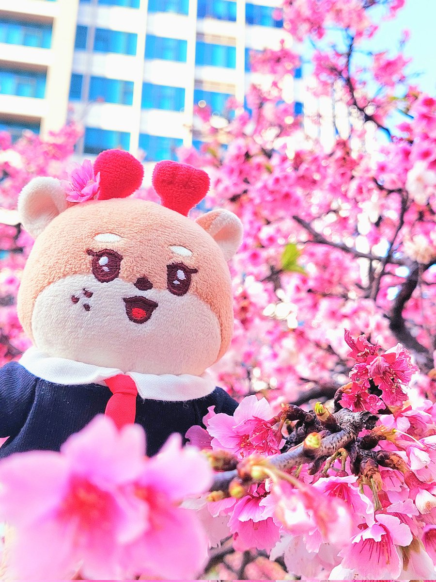 S59755324's tweet photo. 🌸🦌
#온꼬미즈 #ONKKOMIZ #봄맞이온꾸대회 #ONKKU_CONTEST https://t.co/IwGJMgzbn9