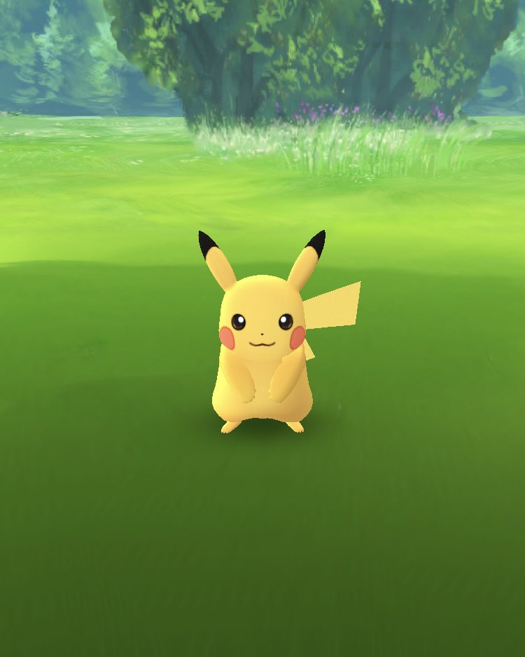 トボ(@toboinsta出張所) tweet media