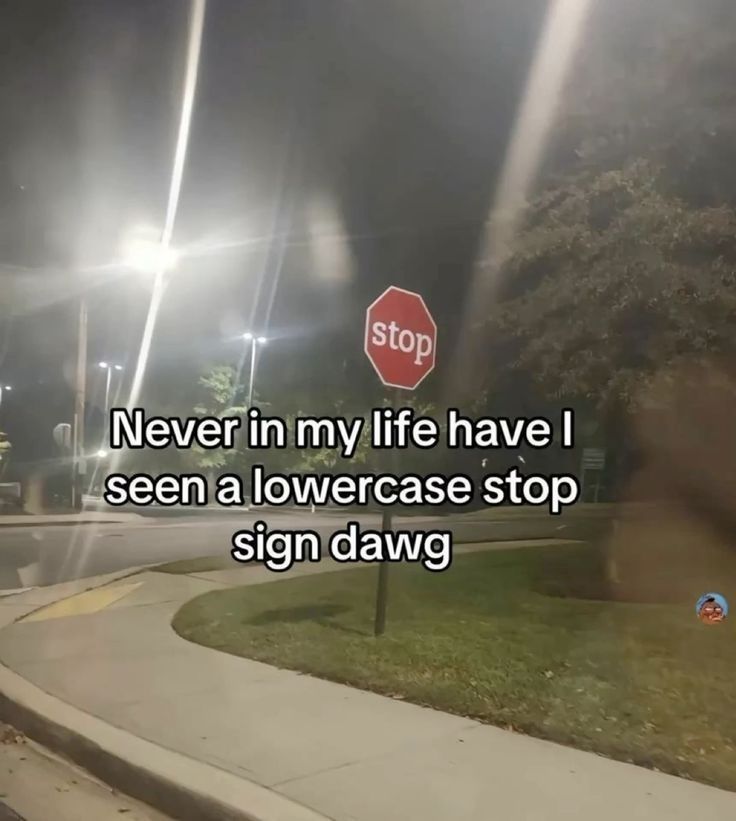 dinosaur tweet media