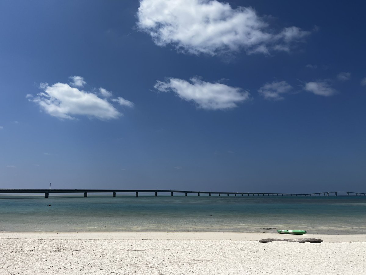 KIKUCHI@リアポ大阪、NEXUS2026、闇の王展 tweet media