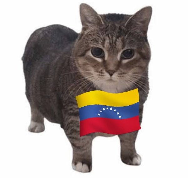 verónica tweet media