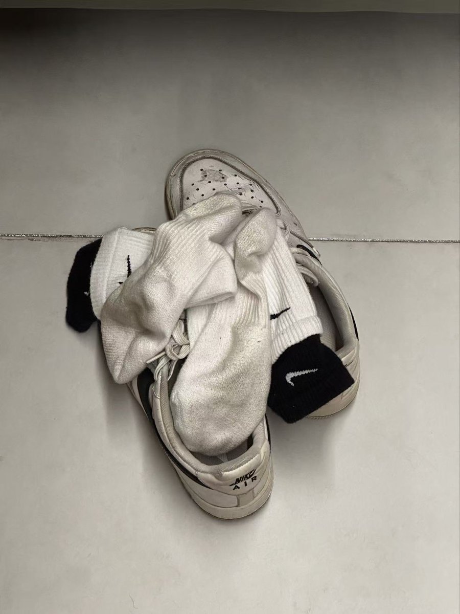 傅立叶 tweet media