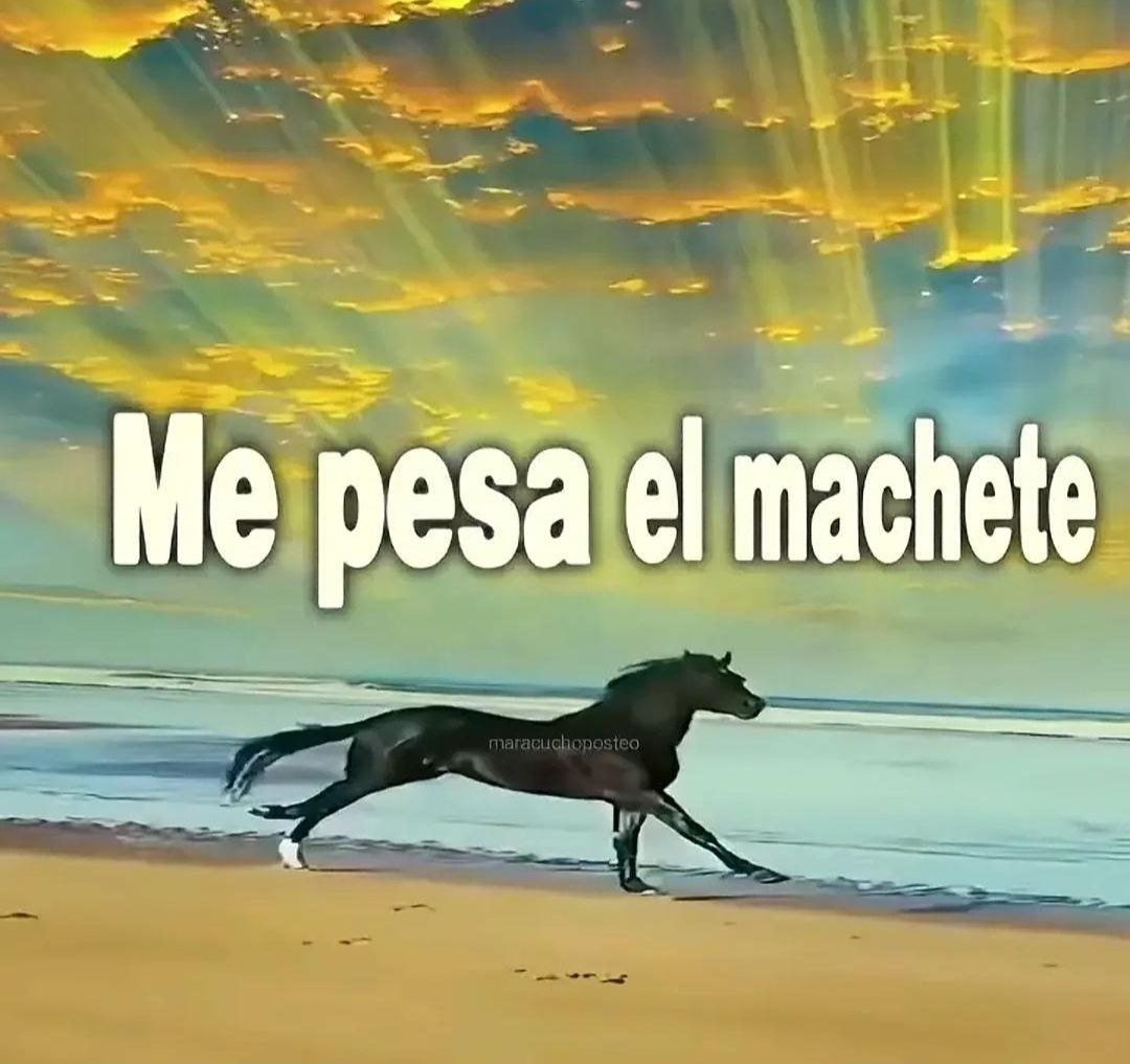 Venezuela desde el 3 de enero