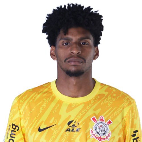 Gols do Brasileirão ⚽️🇧🇷 tweet media