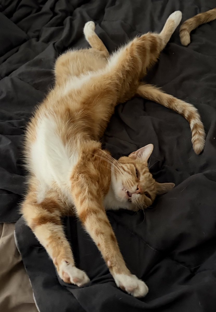 ASecretBox tweet media