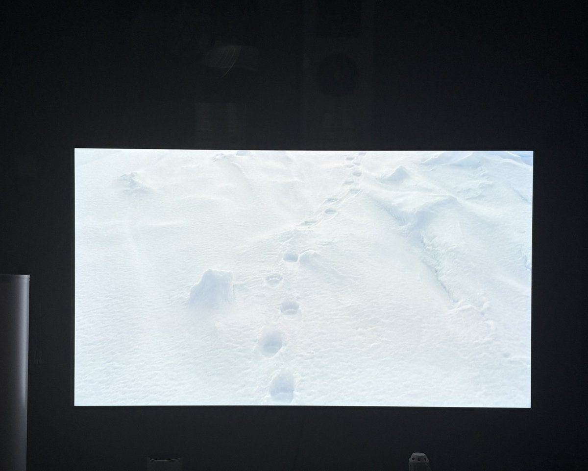 Meksel Rey tweet media