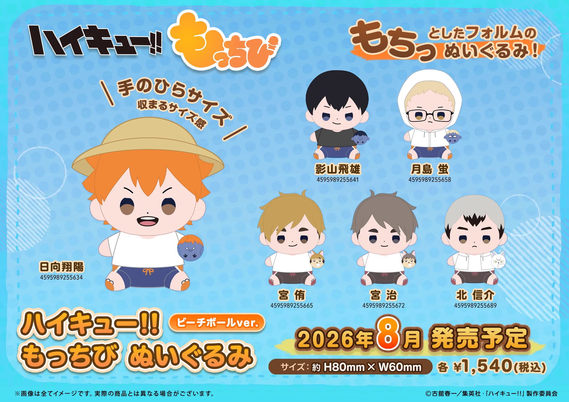 ハイキュー ちみっともぬい 2種　マルチケース3点セット　送料無料　新品 TOHO animation グッズチーム on X: 