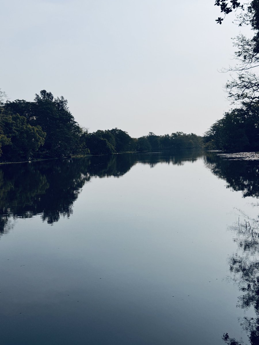 Professor Alok Kumar Rai tweet media