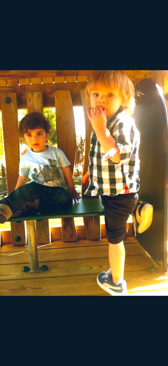 jen reiber walsh tweet media