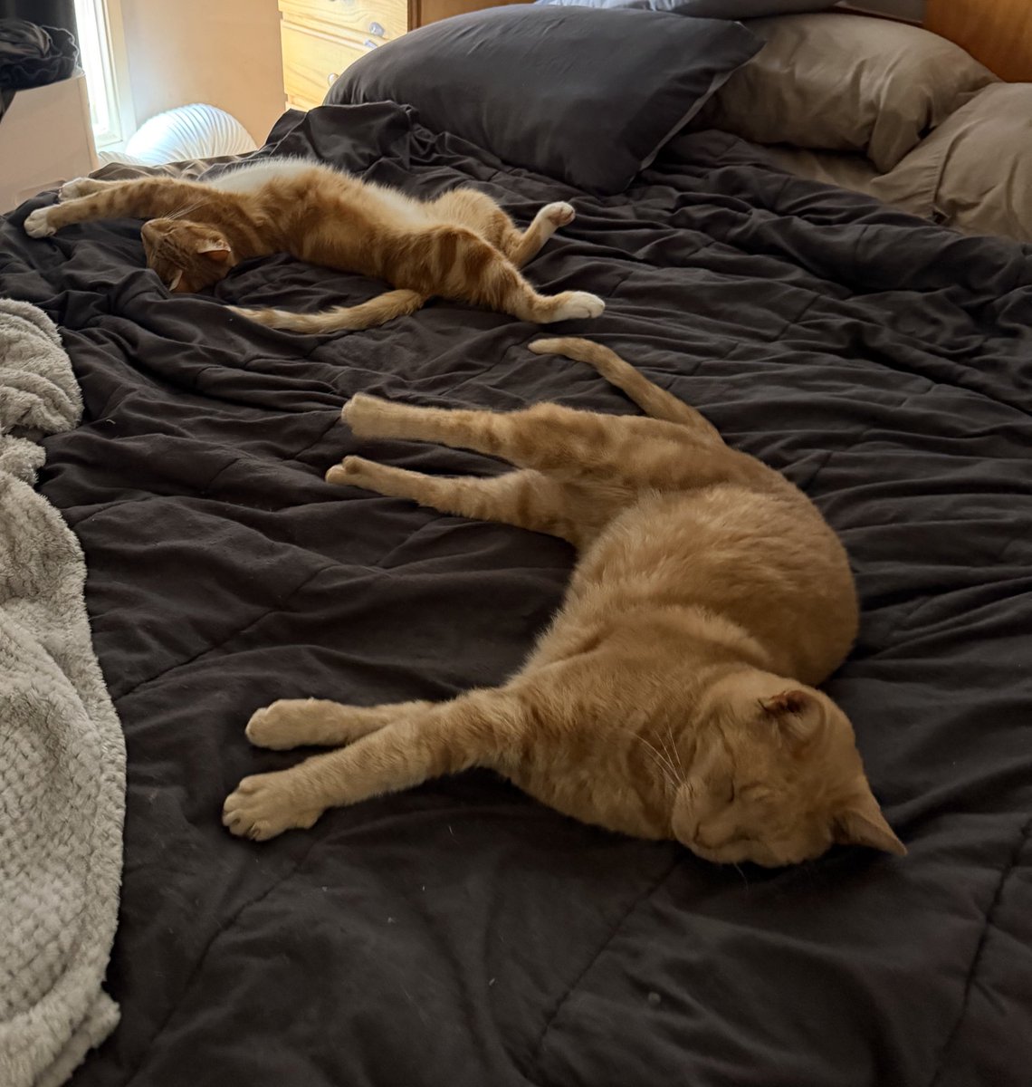 ASecretBox tweet media