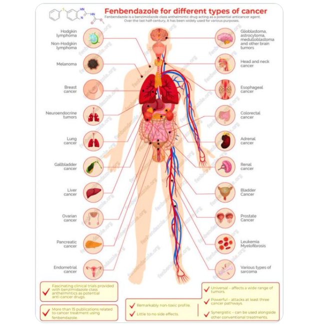 Valerie Anne Smith tweet media