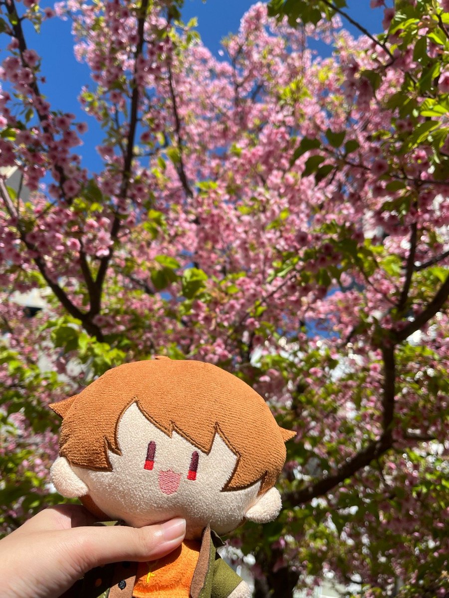 👑🐦‍⬛zak reptilianraven 🔎🐦 tweet media