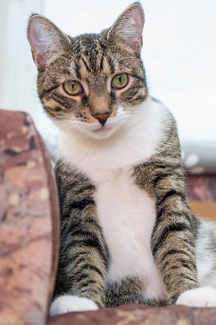 Tanya Caluso tweet media