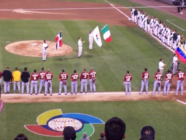 Stephanie Liscio tweet media