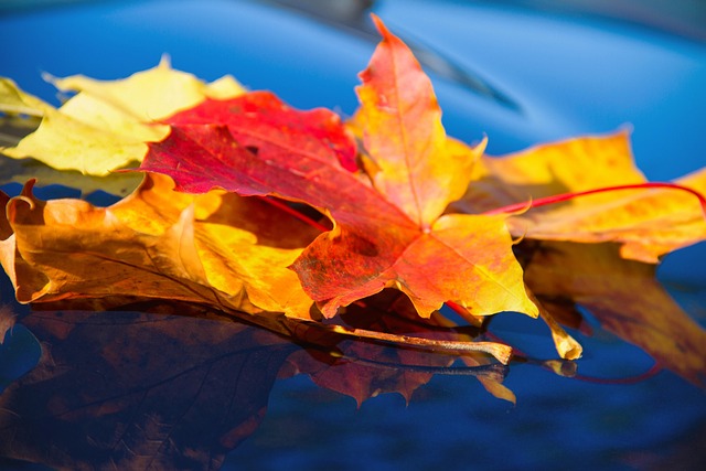 Jeff Schillings tweet media