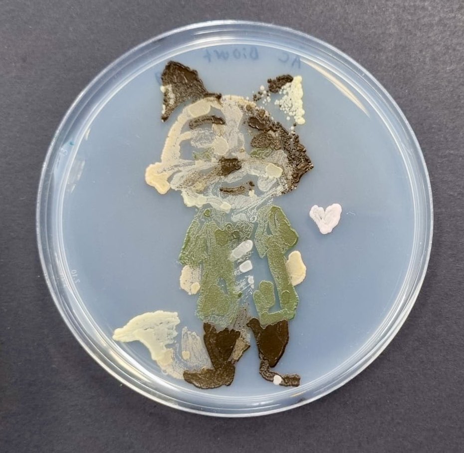 Tom Ellis tweet media