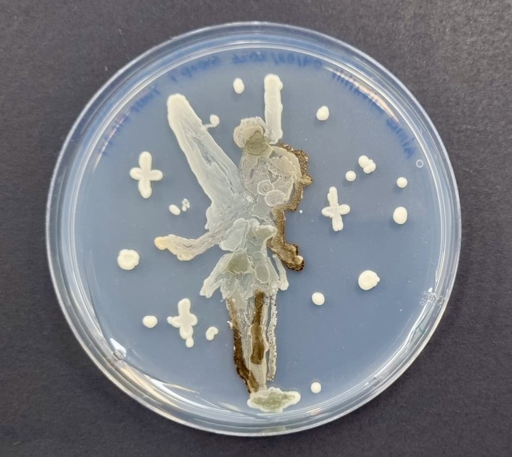 Tom Ellis tweet media