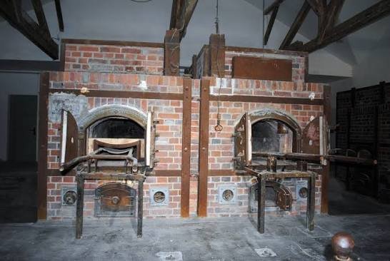 GoldenHour1 tweet media