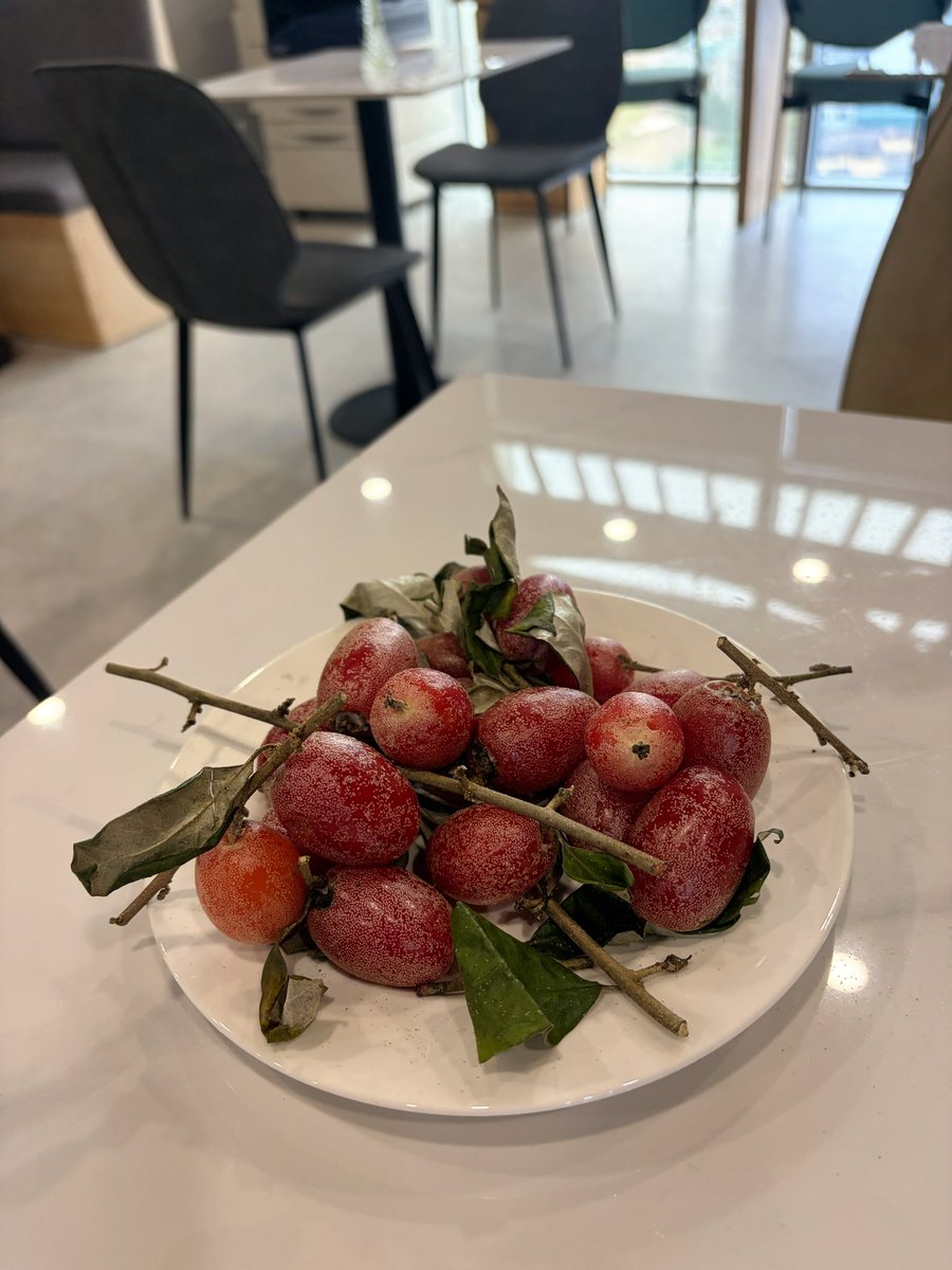 Nguyễn Phương Thùy | Harmony tweet media