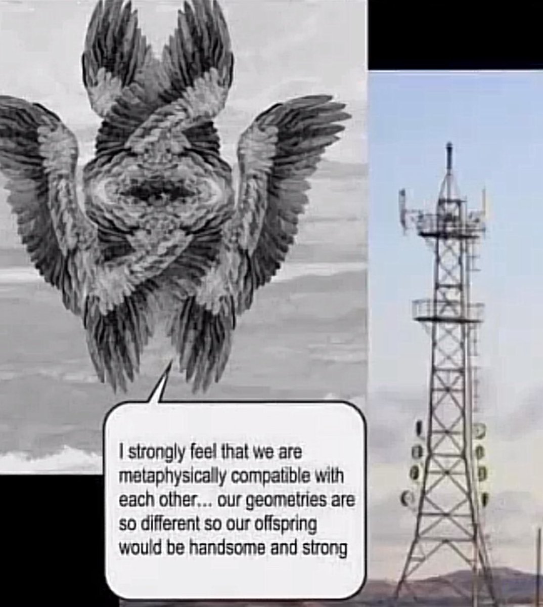 Aloolie👾🗡️ tweet media