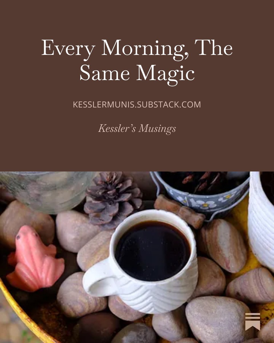 kesslercreek's tweet photo. Every Morning, The Same Magic , by @kesslercreek https://t.co/zjnKO56Nvd https://t.co/KaFTLtxP92