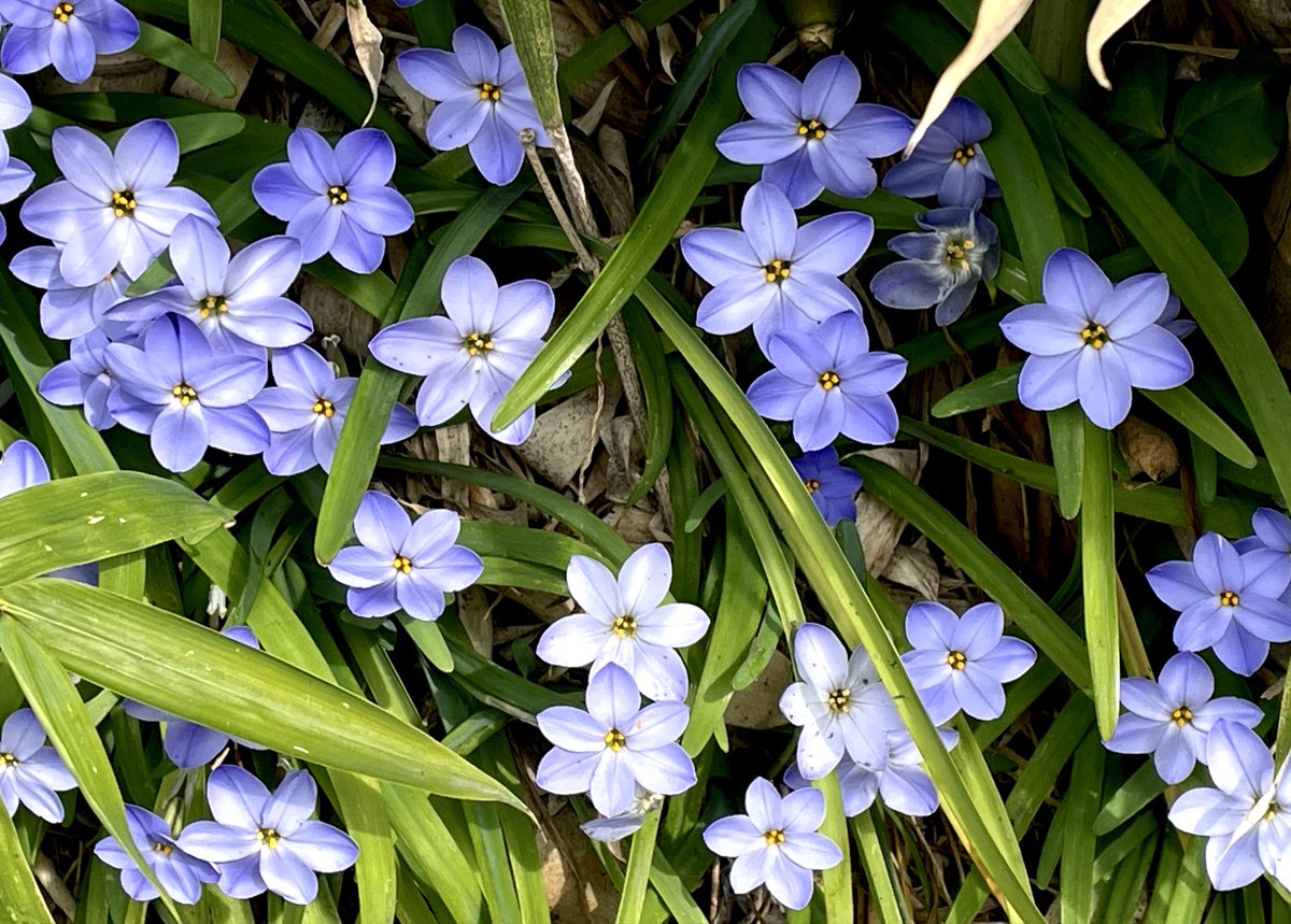 こだま和文 tweet media