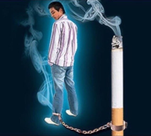 🔪 audra/quinn❓ tweet media