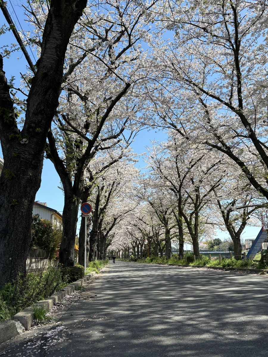 ryotsu0929's tweet photo. 運河脱出！5年間ありがとう！！
素敵なところでした！！ https://t.co/5cp6xv9l6v